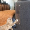 Jumbl Cat Furniture Protector Set of 4, Flexible Vinyl Cat Couch Protector, Stops Scratching - 3 of 3