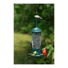 Brome Squirrel Buster Legacy Squirrel-Proof Bird Feeder with 4 Metal Perches - 3 of 3