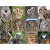 New York Puzzle Company Owls and Owlets 1000 Piece Puzzle - 3 of 4