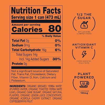 Steaz Antioxidant Brew Organic Yerba Mate Tea 16 Oz Pack of 12 (Peach Please)