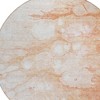 Copper Beige And Silver Abstract Washable Indoor Outdoor Area Rug - 4 of 4