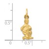 Black Bow Jewelry 14k Yellow Gold Aquarius the Water Bearer Zodiac Satin & Diamond Charm - 4 of 4