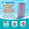 Hurricane Filters HF4H21-01P Platinum Purple Pool Filter Cartridge - for PTL18P4, Unicel 4CH-21, Filbur FC-0136, Pageant Spa Top Load, 2 Pack - 3 of 4