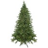 Northlight Real Touch™ Pre-Lit Artificial Birch River Fir Christmas Tree - 7.5' -  Candlelight Clear Lights - 2 of 4