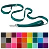 Country Brook Petz Deluxe Nylon Dog Leash, 6 Foot - 2 of 4