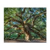"Angel Oak Charleston" Outdoor All-Weather Wall Decor - 2 of 4