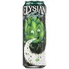 Elysian Space Dust IPA  - Single Can - 19.2 fl oz - 4 of 4