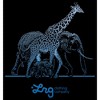 Men's LRG Natural Leaders T-Shirt - 2 of 4