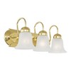 Livex Lighting Riviera 3 - Light Vanity in  Polished Brass - 3 of 4