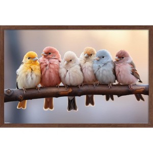 Trends International Reinders: Animals - Pastel Birds Framed Wall Poster Prints Mahogany Framed Version 14.725" x 22.375" - 1 of 4