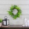 Northlight Fern Leaf Artificial Springtime Wreath, Green - 18-Inch - 2 of 4