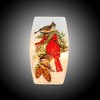 Stony Creek 8.0 Inch Birds Of Winter Pre-Lit Med Vase Christmas Lighted Glass Accent , Christmas Decor Cardinal Berries Pinecones (1PC) - 4 of 4