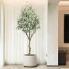 2Pcs Artificial Olive Tree in Pots, Faux Tropical Plant with Natural Wood Trunk for Home Office Living Room Indoor Outdoor - 3 of 4