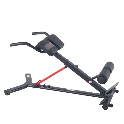 Sunny Health & Fitness Hyperextension Roman Chair with Dip Station