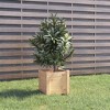 vidaXL Plant Pot Set of 2 31 x 31 x 31 cm Solid Pine Wood - 3 of 4