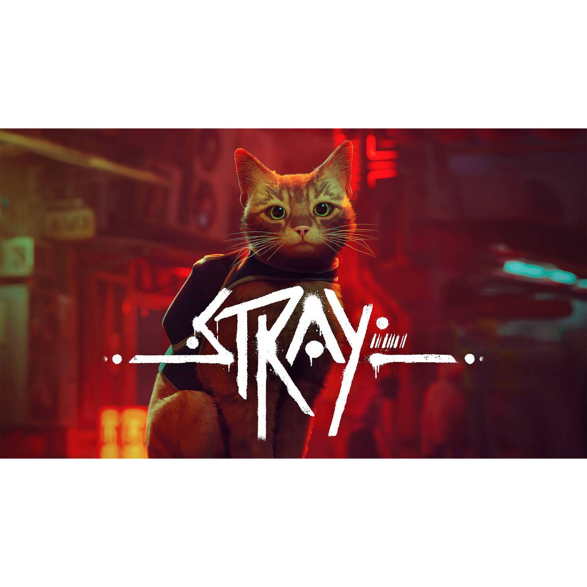 Stray - Nintendo Switch