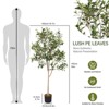 KTMBDW 5ft Artificial Olive Tree for Home Decor, 5 Feet Large Faux Plant for Indoor Outdoor House Living Room Office (5 ft Tall) - 4 of 4