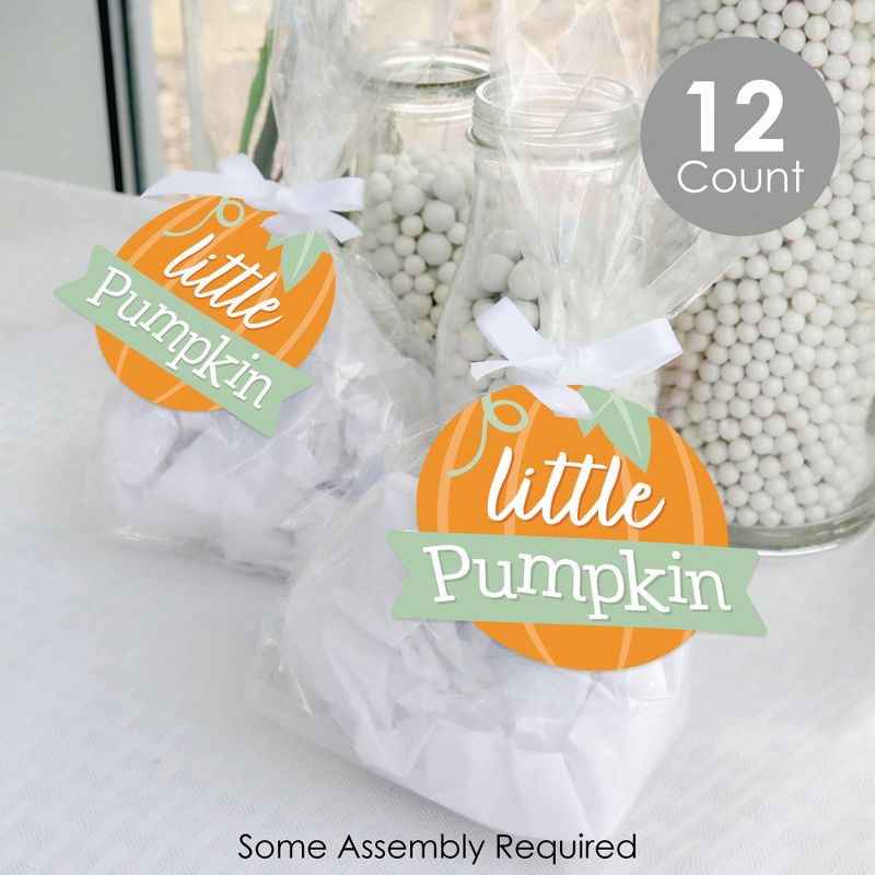 Big Dot of Happiness Little Pumpkin - Fall Birthday Party or Baby Shower Clear Goodie Favor Bags - Treat Bags With Tags - Set of 12, 2 of 9