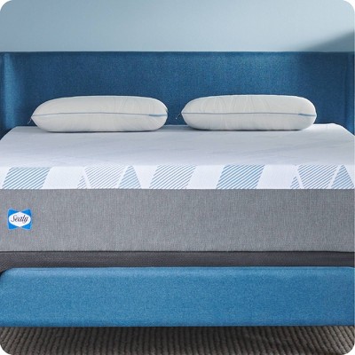 Sealy Dreamlife Standard White Memory Foam Pillow Set