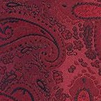 burgundy b