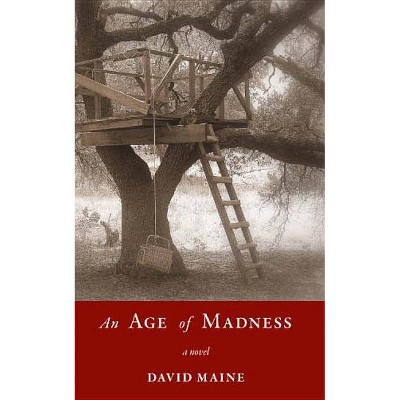 An Age of Madness - by  David Maine (Paperback)