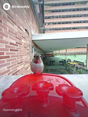 Guest review image 2 of 4, zoom in