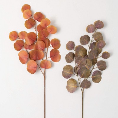 33"H Sullivans Rust Silver Dollar Eucalyptus Set of 2, Multicolor