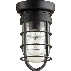 Quorum Lighting Bowery Glass Noir Flush Mount Light - 1 Light, 4.5 Width, 8.25 Height - 1 of 1