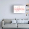 Trademark Fine Art -Lisa Audit 'Rainbow Seeds Abstract Blush Gray Crop' Canvas Art - 2 of 4