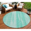 Aqua Teal Blue And Ivory Botanical Leaves Washable Indoor Outdoor Area Rug - 2 of 4