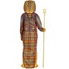 HalloweenCostumes.com King Tut Sarcophagus Costume for Men - 3 of 3