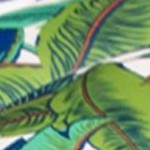 green tropical palm