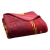 NCAA Iowa State Cyclones Digitized 60 x 80 Raschel Throw Blanket - 4 of 4