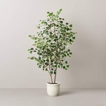 55" Faux Variegated Triangle Ficus Tree - Hearth & Hand™ with Magnolia