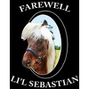 Parks And Recreation Farewell Li'l Sebastian Fleece Throw Blanket - 3 of 3