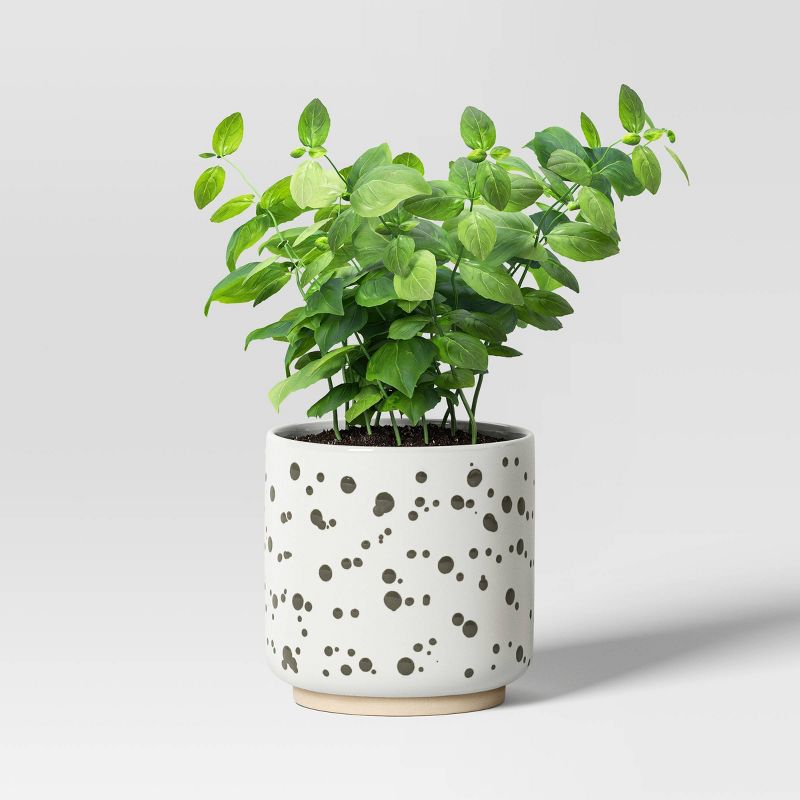  Splatter Stoneware Indoor Outdoor Planter Pot - Threshold™, 4 of 6