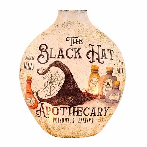 Stony Creek 7.0 Inch Hocus Pocus Pre-Lit Glass Vase Halloween Lighted Glass Accent , Halloween Decor Halloween Novelty Lighting (1PC) - 1 of 4