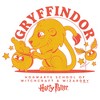 Boy's Harry Potter Cute Gryffindor Lion T-Shirt - 2 of 4
