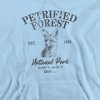 Men's Petrified Forest National Park Fox Icon Pull-Over Hoodie - 2 of 4