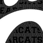 cincinnati bearcats