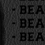 cincinnati bearcats