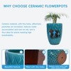 SpassWay 17" Dia Outdoor Indoor Ceramic Planter Pot Decorative Planter with Drainage Hole Patio Flower Pot - 4 of 4