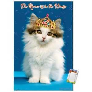 Trends International Keith Kimberlin - Kitten - Queen Unframed Wall Poster Prints - 1 of 4