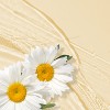 Herbal Essences Shine Shampoo with Chamomile, Aloe Vera & Passion Flower Extracts - 13.5 fl oz - image 3 of 4