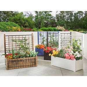 BrylaneHome Trellis Outdoor Backyard Garden Collection - 1 of 4