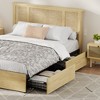 Bed Frame with Natural Rattan Headboard, Metal Platform and Strong Wooden Slats Support, No Box Spring Needed - 2 of 4