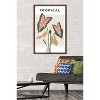 Trends International Botanical - Tropical Framed Wall Poster Prints - 2 of 4