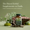 Gaia Herbs Oil of Oregano - Immune and Antioxidant Support Supplement with Oregano Oil, Carvacrol, and Thymol - 3 of 4
