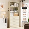 Aheaplus 6-Tier Tall Cabinet with USB Ports and Outlets, Storage Cabinet with Drawers and Open Shelves - 4 of 4