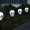 5ct 14.5" LED Halloween Pathway Lights with Timer Cool White Skull - Hyde and EEK! Boutique™: Outdoor Skeleton Decor, Battery Operated - 2 of 4